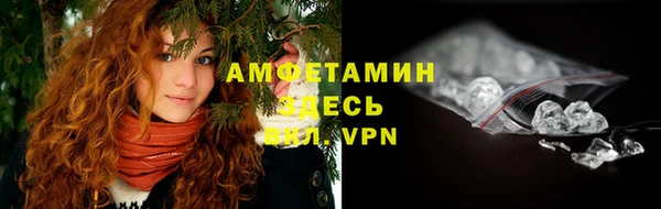 соль ск Пересвет