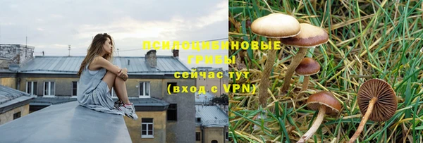 трава Пестово