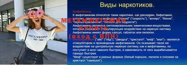 прущие грибы Аркадак