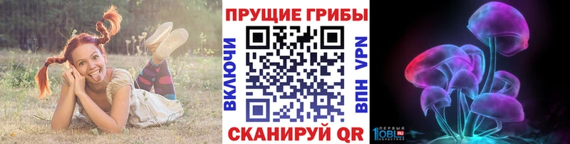 Псилоцибиновые грибы Psilocybine cubensis Приозерск